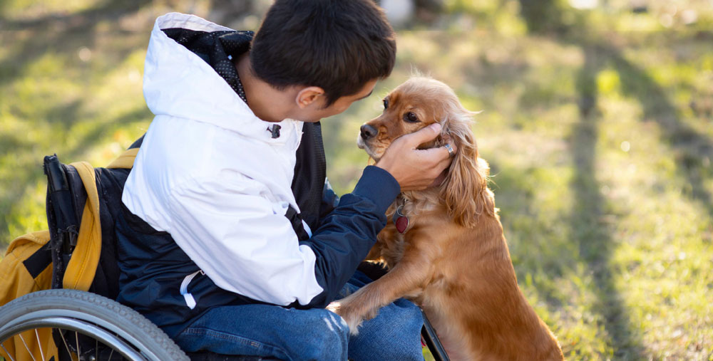 dog